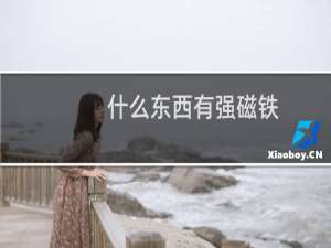 什么东西有强磁铁