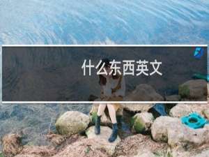 什么东西英文