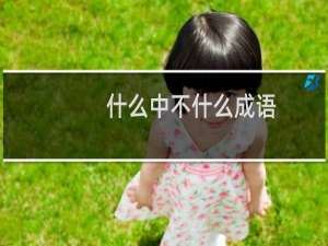 什么中不什么成语