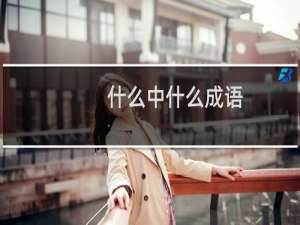 什么中什么成语