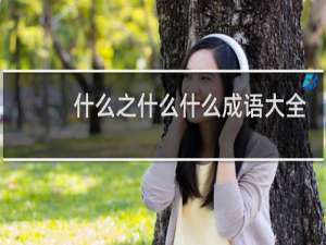 什么之什么什么成语大全