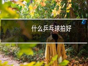 什么乒乓球拍好