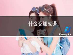 什么交加成语
