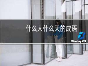 什么人什么天的成语