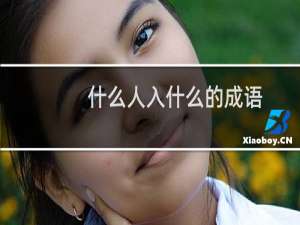 什么人入什么的成语