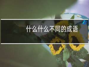 什么什么不同的成语