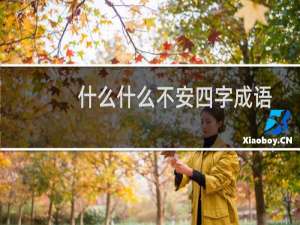 什么什么不安四字成语