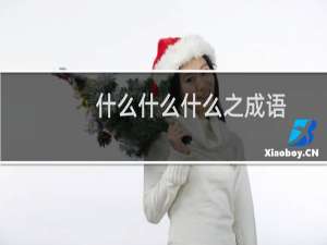 什么什么什么之成语