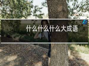 什么什么什么大成语