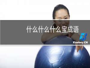 什么什么什么宝成语