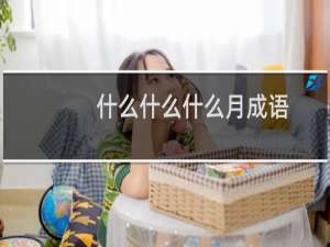 什么什么什么月成语