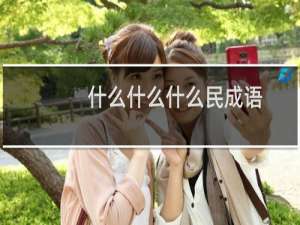 什么什么什么民成语