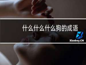 什么什么什么狗的成语