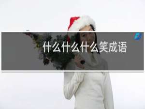 什么什么什么笑成语