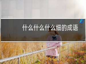 什么什么什么细的成语