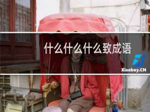 什么什么什么致成语