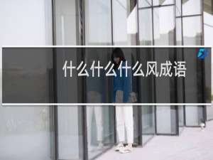 什么什么什么风成语