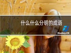 什么什么分明的成语