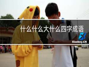 什么什么大什么四字成语