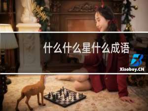 什么什么星什么成语