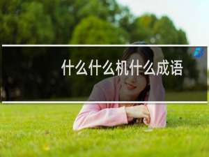 什么什么机什么成语