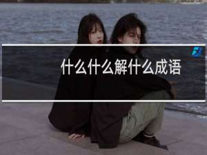 什么什么解什么成语