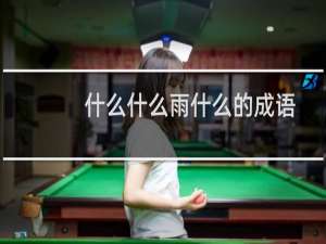 什么什么雨什么的成语