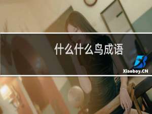 什么什么鸟成语