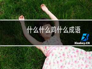 什么什么鸡什么成语