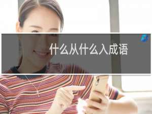 什么从什么入成语