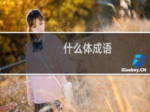 什么体成语