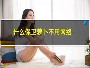 什么保卫萝卜不用网络