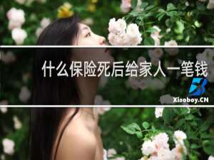 什么保险死后给家人一笔钱