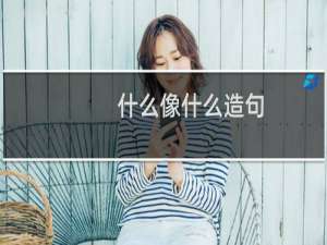 什么像什么造句