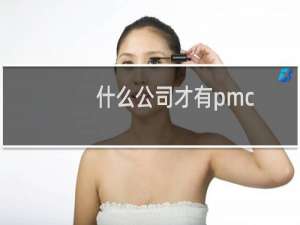 什么公司才有pmc