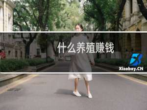 什么养殖赚钱