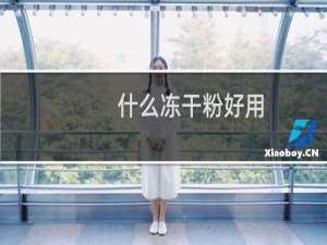 什么冻干粉好用