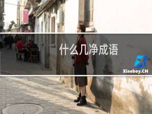 什么几净成语