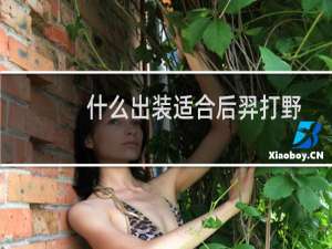 什么出装适合后羿打野