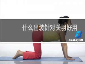 什么出装针对关羽好用