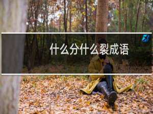 什么分什么裂成语