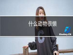 什么动物很懒