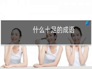 什么十足的成语
