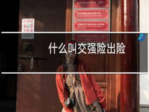 什么叫交强险出险