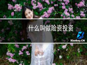 什么叫做险资投资