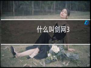什么叫剑网3