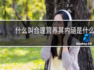 什么叫合理营养其内涵是什么
