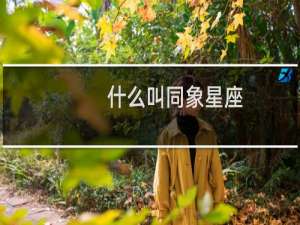什么叫同象星座