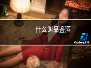 什么叫品鉴酒