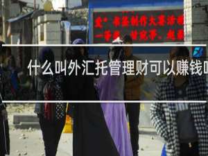 什么叫外汇托管理财可以赚钱吗
